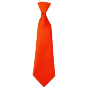 Boys Orange Plain Satin Tie on Elastic